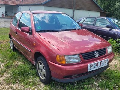 VW Polo