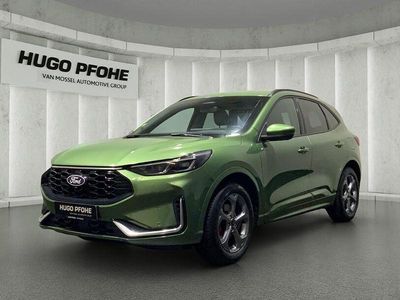 Gebraucht Ford Kuga ST-Line X 186 PS (136 kW) 2024 Bursting green SUV