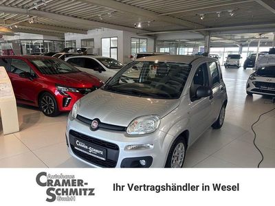 Gebraucht Fiat Panda Easy 69 PS (50 kW) 2016 Grau (colore esterno (argento grau)) (metallic) Kleinwagen