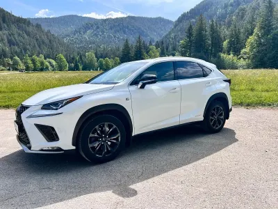 Gebraucht Lexus NX300h 197 PS (144 kW) 2020 Weiß SUV