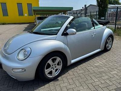 VW Beetle