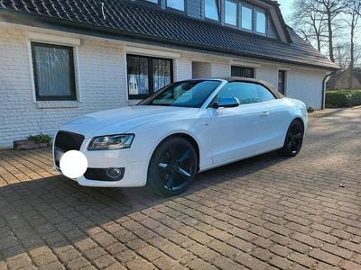 Gebraucht Audi A5 Cabriolet S-Line 170 PS (125 kW) 2010 Weiß Cabrio