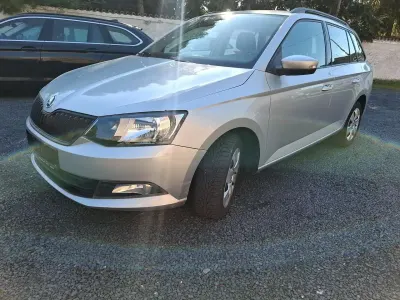 Usata Skoda Fabia 95 CV (69 kW) 2019 Grigio Utilitaria