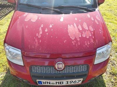 Usata Fiat Panda 101 CV (74 kW) 2010 Rosso Utilitaria