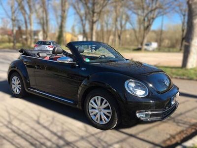 VW Beetle