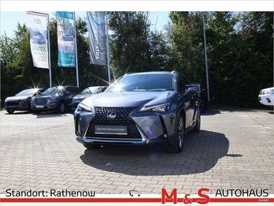 Lexus UX 300e