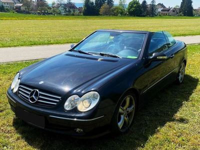 gebraucht Mercedes CLK500 Cabrio Avantgarde