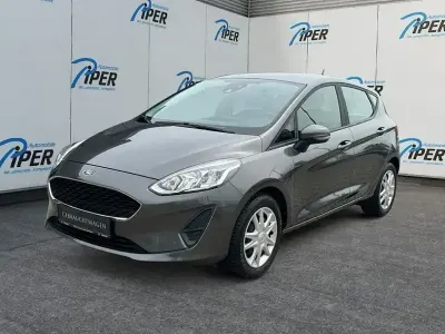 Gebraucht Ford Fiesta Trend 75 PS (55 kW) 2020 Grau Kleinwagen