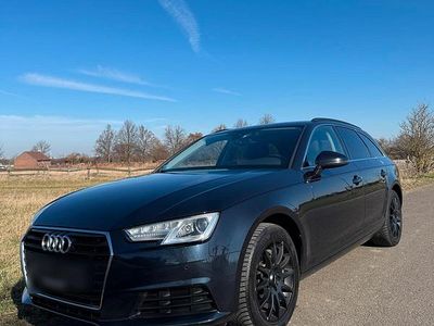Gebraucht Audi A4 190 PS (139 kW) 2017 Blau Kombi