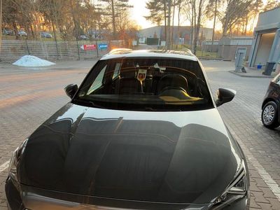 Andere farben Gebraucht 2019 Seat Tarraco XCELLENCE SUV | 24.000 € (Teuer)