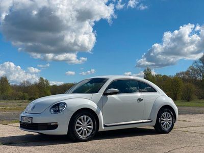 gebraucht VW Beetle 1.2 TSI Top gepflegt