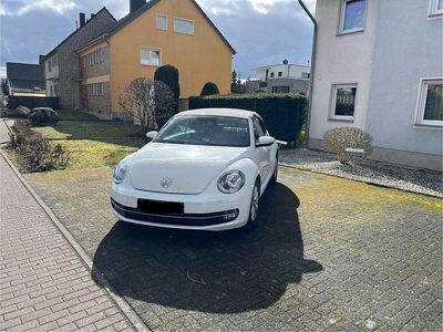 Weiß Gebraucht 2014 VW Beetle Design Cabrio | 11.500 € (Guter Preis)