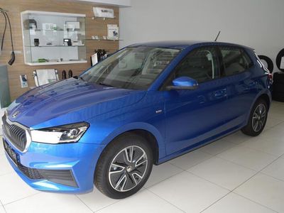 gebraucht Skoda Fabia 1.0 TSI Tour Navi DAB Sitzheizung