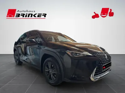 Gebraucht Lexus UX 250h