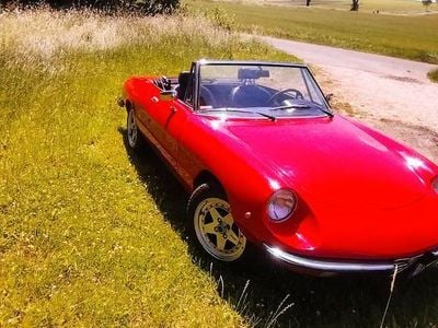 Gebraucht Alfa Romeo Spider 131 PS (96 kW) 1977 Rot Cabrio