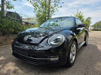 VW Beetle