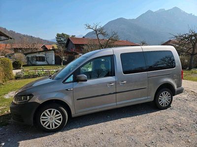 Usata VW Caddy Maxi 100 CV (73 kW) 2016 Giallo Monovolume