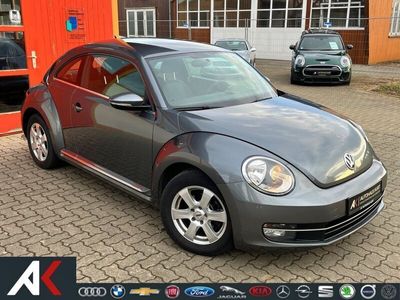 VW Beetle