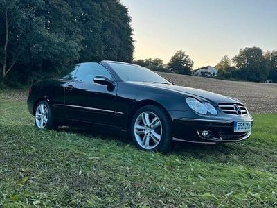 Gebraucht 2005 Mercedes CLK280 Cabrio | 14.999 €