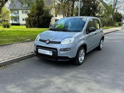 Second-hand Fiat Panda 69 CP (50 kW) 2023 Colore esterno Hatchback