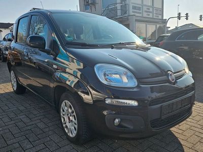 gebraucht Fiat Panda Lounge"SHZ"Klima"1Hand"