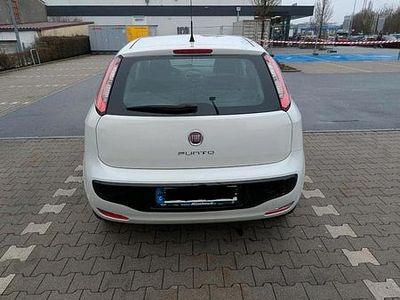 Weiß Gebraucht 2011 Fiat Punto Kleinwagen | 3.500 € (Teuer)