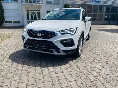 Occasion Seat Ateca Xperience 150 ch (110 kW) 2025 Blanc SUV
