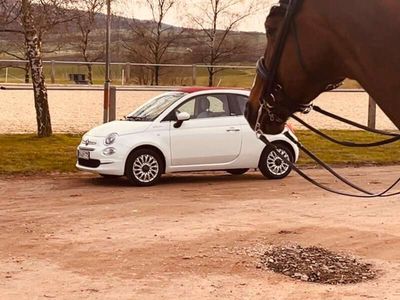 gebraucht Fiat 500C 500C1.0 GSE Hybrid Dolcevita