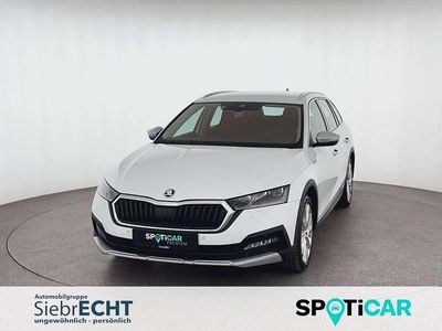 Używany Skoda Octavia Scout Scout 4x4 200 KM (147 kW) 2022 Biały Kombi