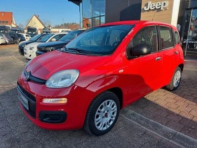 Gebraucht Fiat Panda Easy 69 PS (50 kW) 2018 Rot Kleinwagen