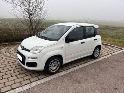 Gebraucht Fiat Panda Easy 70 PS (51 kW) 2017 Weiß Kleinwagen