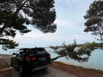 Używany BMW X1 xLine 184 KM (135 kW) 2012 Czarny SUV