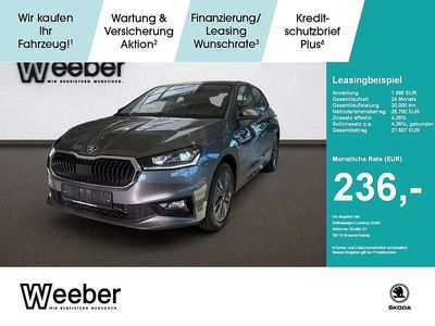 Grau Neu 2026 Skoda Fabia Tour Limousine | 25.790 € (Etwas zu teuer)