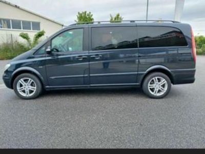 Mercedes Viano