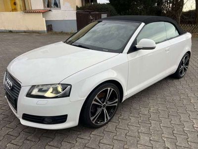 gebraucht Audi A3 Cabriolet Ambition Alcantara/XenonPlus