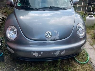 VW Beetle