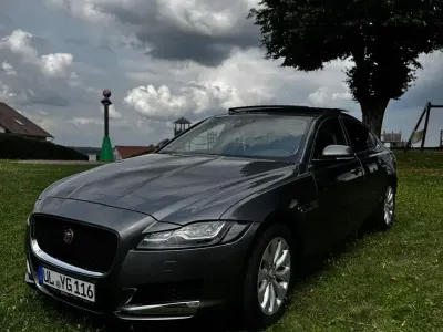 Używany Jaguar XF Portfolio 163 KM (119 kW) 2016 Szary Sedan/Limuzyna