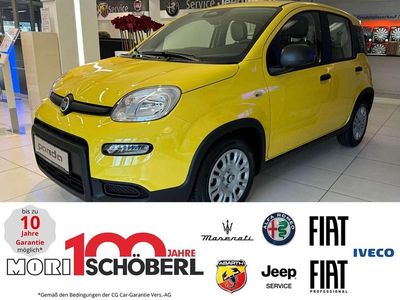 Gelb Neu 2025 Fiat Panda Kleinwagen | 13.990 € (Fairer Preis)