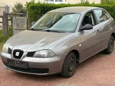 Gebraucht Seat Ibiza 75 PS (55 kW) 2004 Grau Kleinwagen