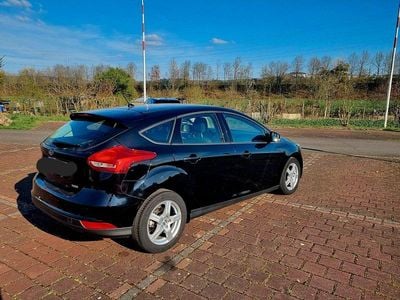 Schwarz Gebraucht 2016 Ford Focus Ambiente Kombi | 8.500 € (Guter Preis)