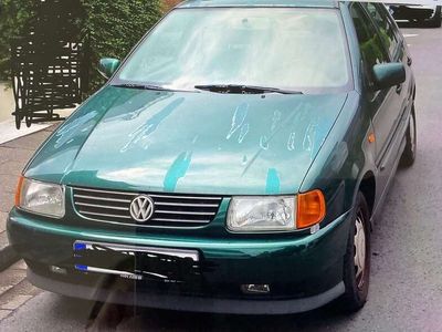 VW Polo