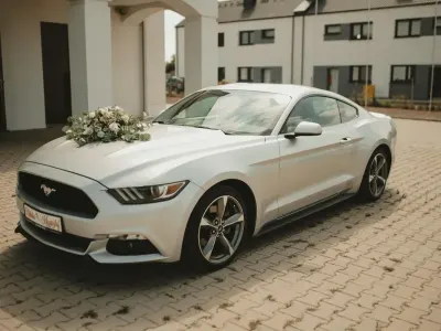 Gebraucht Ford Mustang 301 PS (221 kW) 2016 Silber Coupé