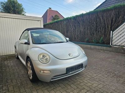 VW Beetle