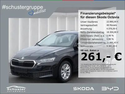 Gebraucht Skoda Octavia Essence 116 PS (85 kW) 2025 Schwarzmagic perleffekt Kombi