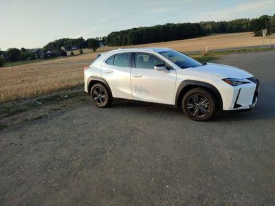 gebraucht Lexus UX 200 Launch Edition Neuwertig!