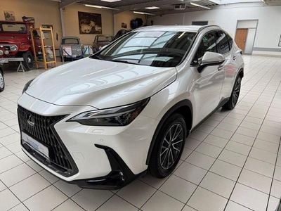Gebraucht Lexus NX450h+ Business Edition 309 PS (227 kW) 2025 Weiß SUV