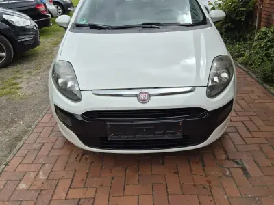 Gebraucht Fiat Punto Easy 69 PS (50 kW) 2011 Weiß Kleinwagen