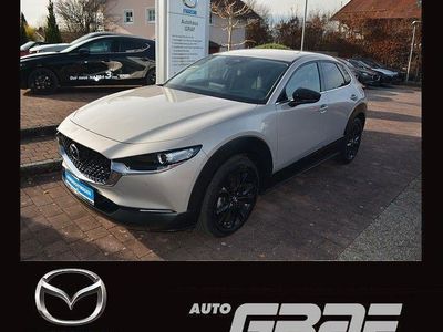 Gebraucht Mazda CX-30 Homura-Line 186 PS (136 kW) 2023 Platinum quartz SUV