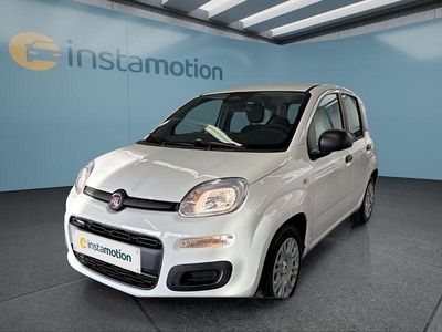 Neu Fiat Panda 65 PS (47 kW) 2025 Weiß Kleinwagen