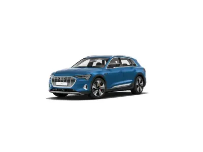 Brugt Audi e-tron
